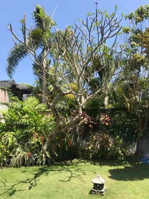 Desa Naga Villa 坎古 外观 照片